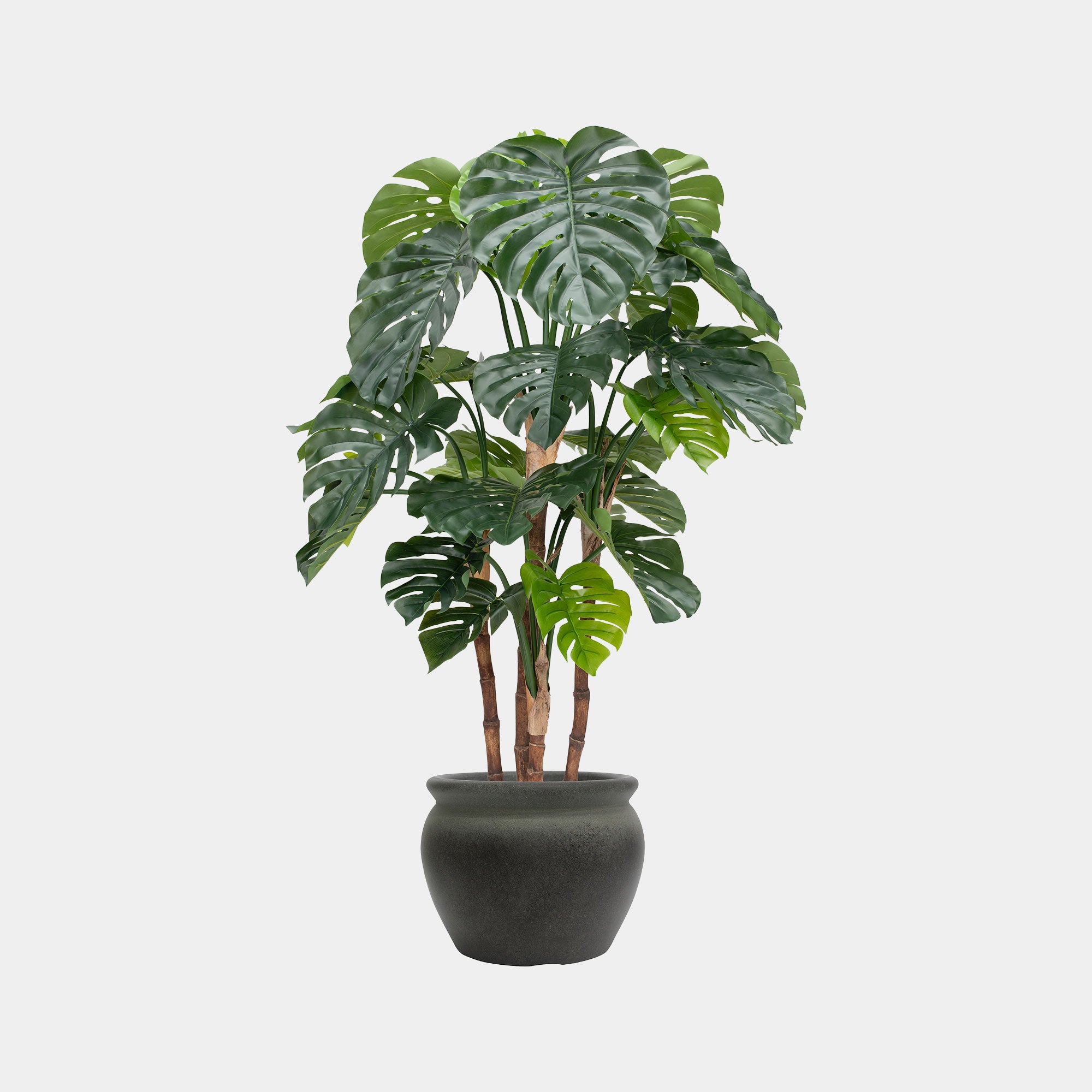 Artificial Plant - Potted Monstera Tree