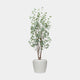 Artificial Eucalyptus Tree in White Pot - Realistic Faux Indoor Plant