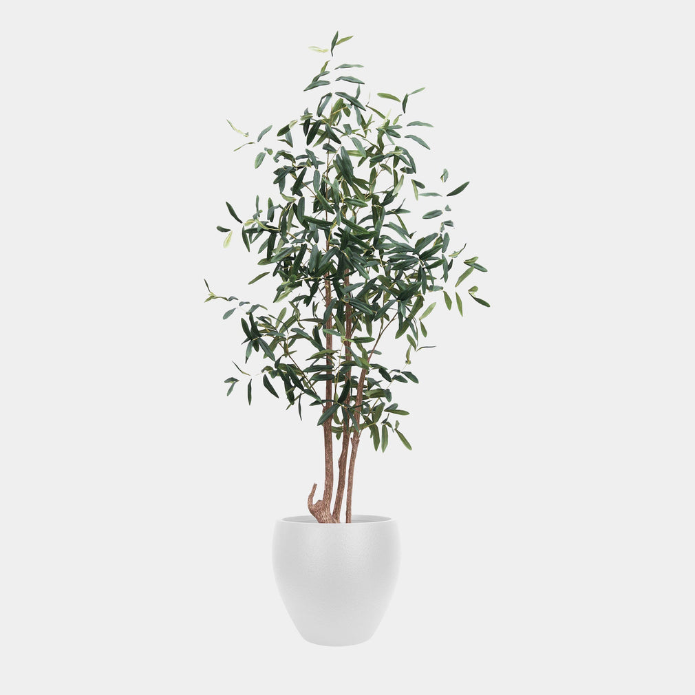 Olive Tree in White Pot - Realistic Faux Mediterranean Indoor Plant