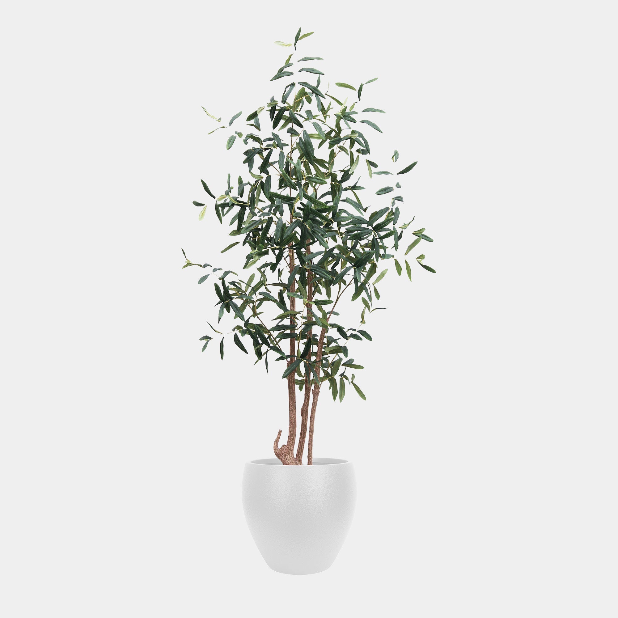 Artificial Plant - Potted Olive Tree