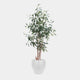 Olive Tree in White Pot - Realistic Faux Mediterranean Indoor Plant