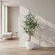 Olive Tree in White Pot - Realistic Faux Mediterranean Indoor Plant