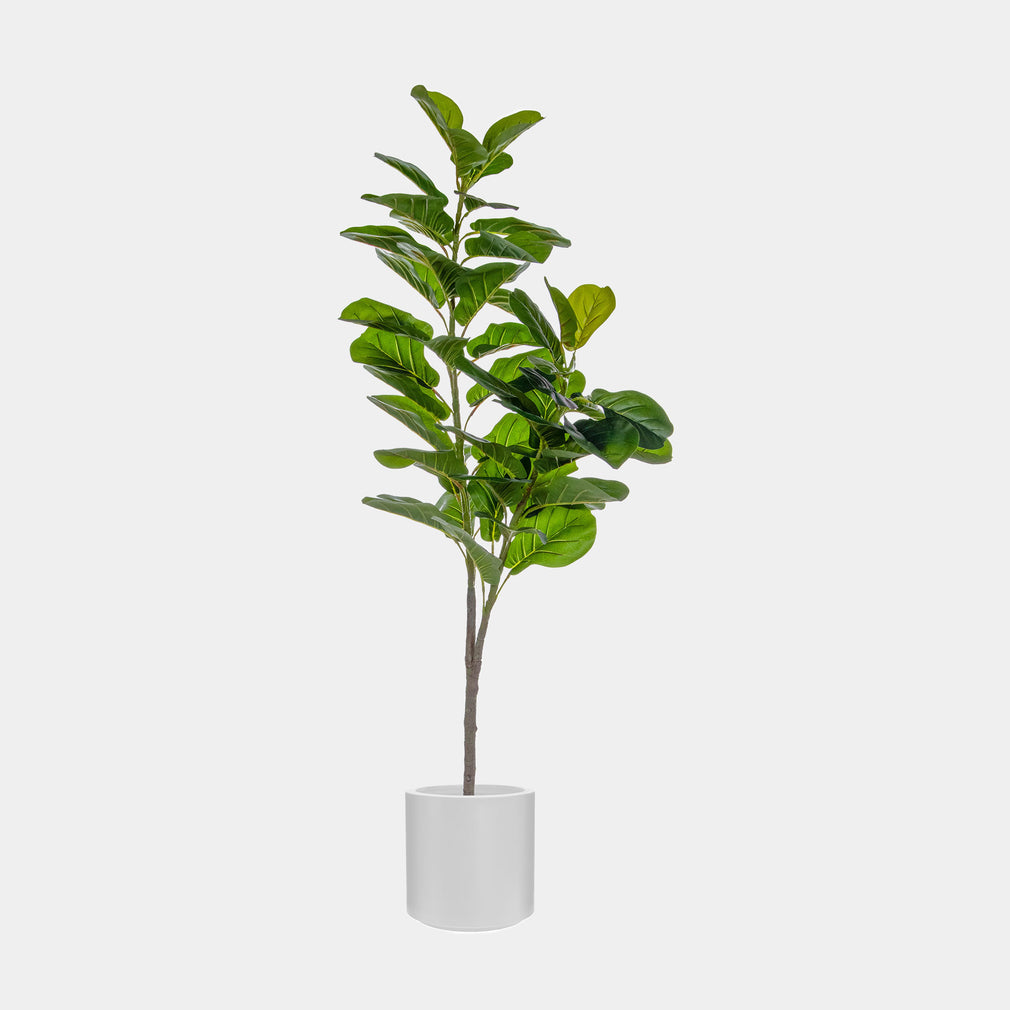 Artificial Fiddle Leaf Fig Tree in White Pot - Realistic Faux Indoor Plant