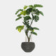 Artificial Plant - Potted Monstera Plant