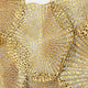 Ninfee - Metallic Wall Art
