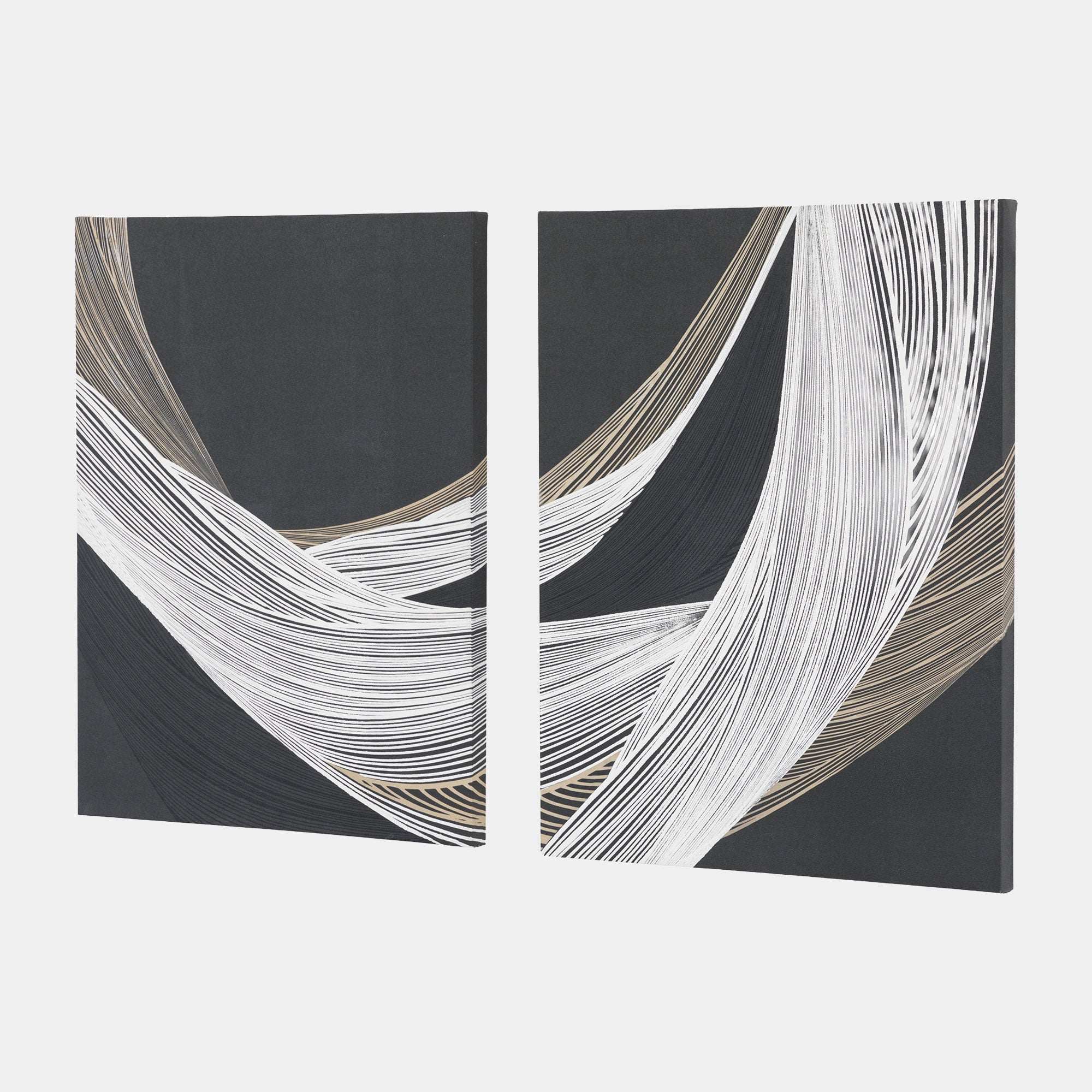 Curve Appeal - Canvas Wall Art, Set of 2