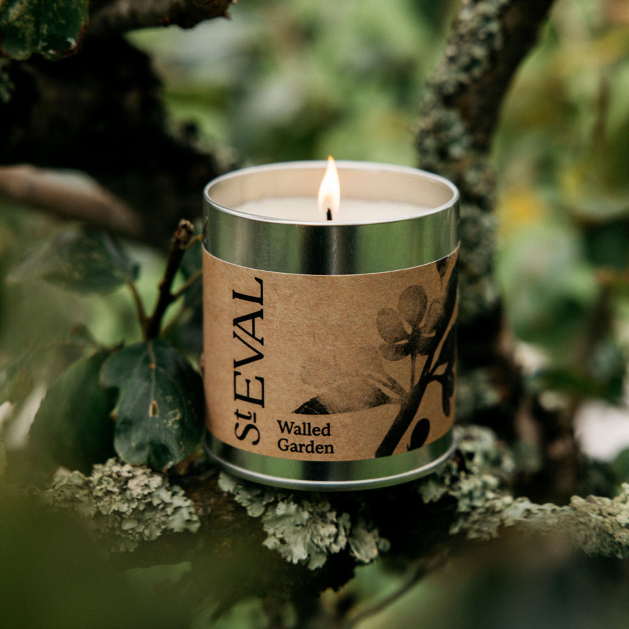St Eval - Walled Garden Scented Tealights and Tin Candle Set