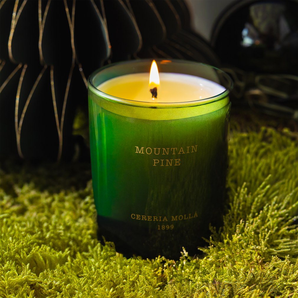 Cereria Molla - Mountain Pine Scented Candle 230g