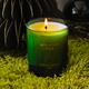 Cereria Molla - Mountain Pine Scented Candle 230g