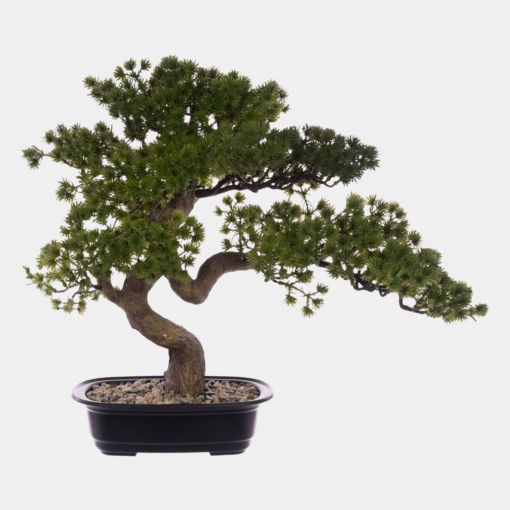 Artificial Potted Plant - Pine Bonsai Tree in Black Pot