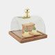 Dome - Square Cloche