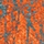 9219 Nebula Orange