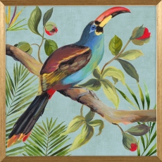 Paradise Toucan - by Aimee Wilson