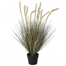 Onion Grass with Cat Tail in Pot