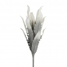 Grey Foam Single White Stem Gladiola Leaves Flower