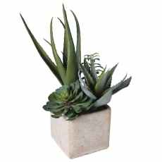 Mix Cactus in Grey Pot