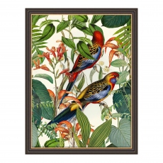 Exotic Jungle Birds - by Andrea Hasse