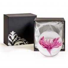 Glass Ball Paperweight with Gift Box - Purple Flower