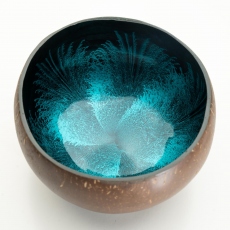 Coconut - Feather Bowl