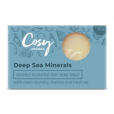 Cosy - Deep Sea Minerals Wax Melt