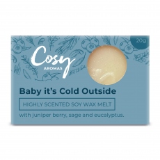Cosy - Baby It's Cold Outside Wax Melt