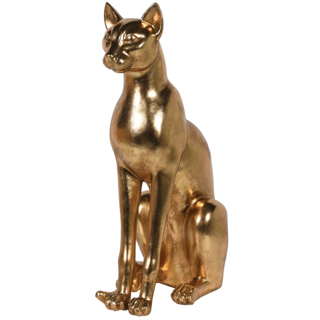 Gold - Sphinx Cat