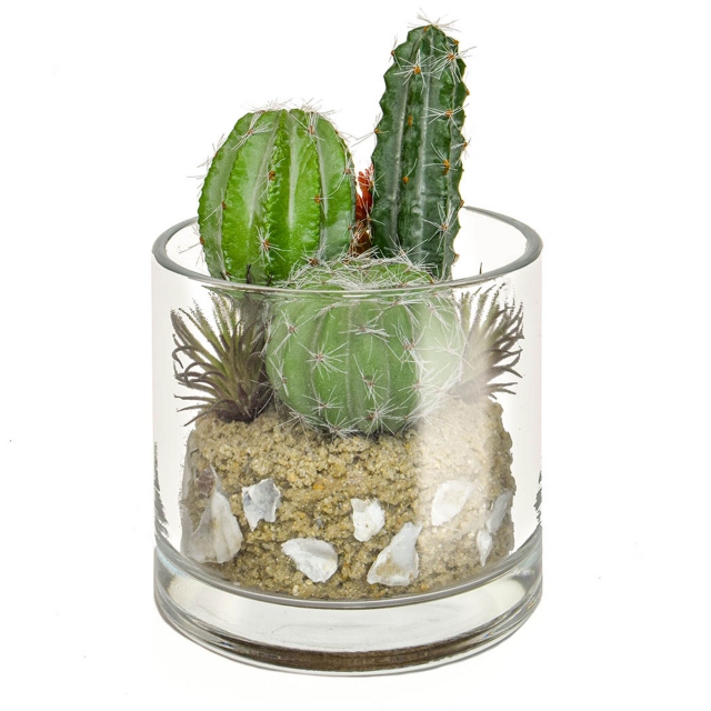 Tropical Cactus Mix In Glass Vase