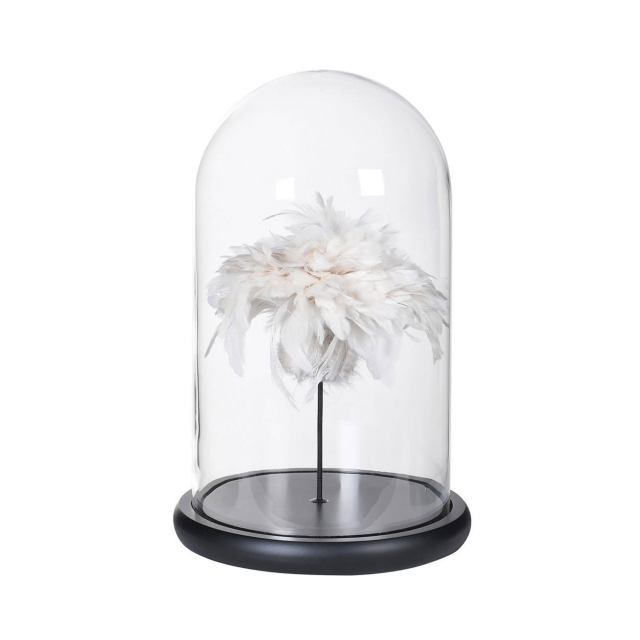 Cream Feathers In Glass Dome
