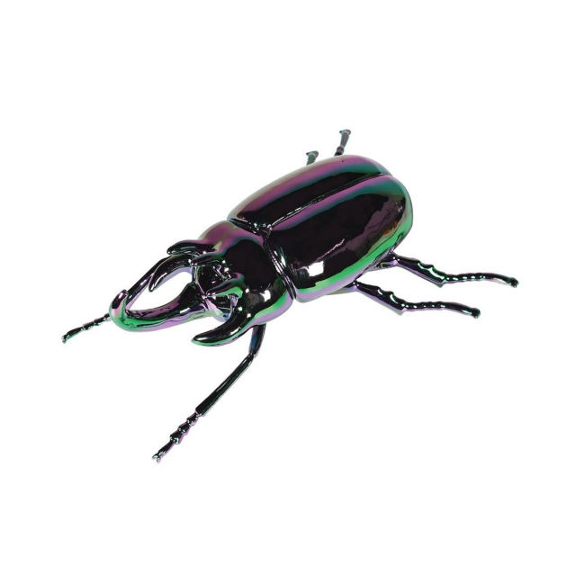 Stag Beetle Multicoloured