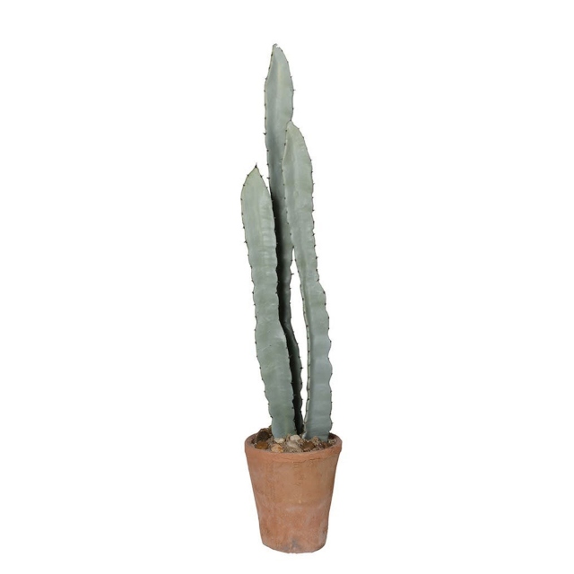 Cactus In Cement Pot Tall