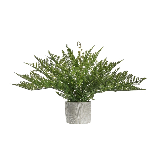 Potted Fern with Zigzag Pot