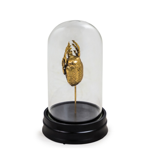 Gold Beetle Specimen In Glass Dome