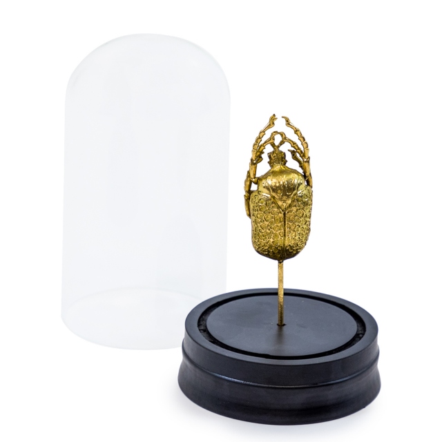 Gold Beetle Specimen In Glass Dome