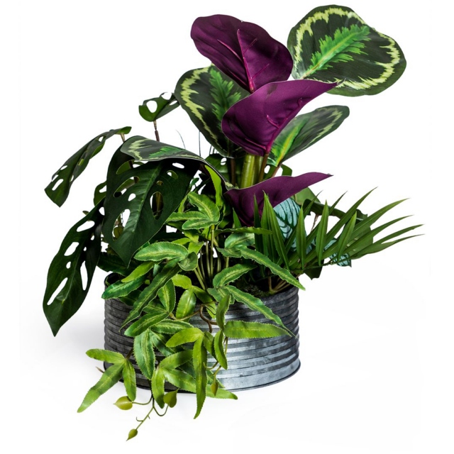 Tropical Plant Arrangement in Tin Pot