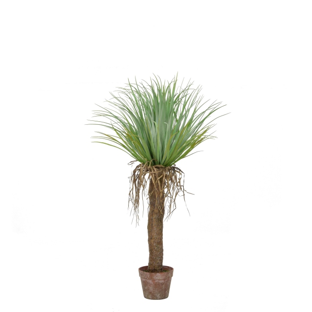 Palm Cycas in Brown Pot 95cm