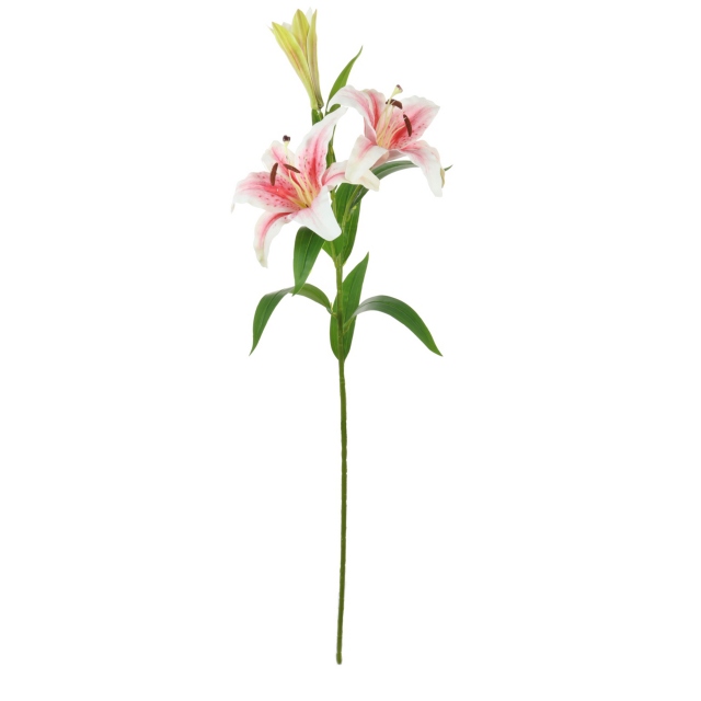 Casa Blanca Lily 3 Head Pink/Cream