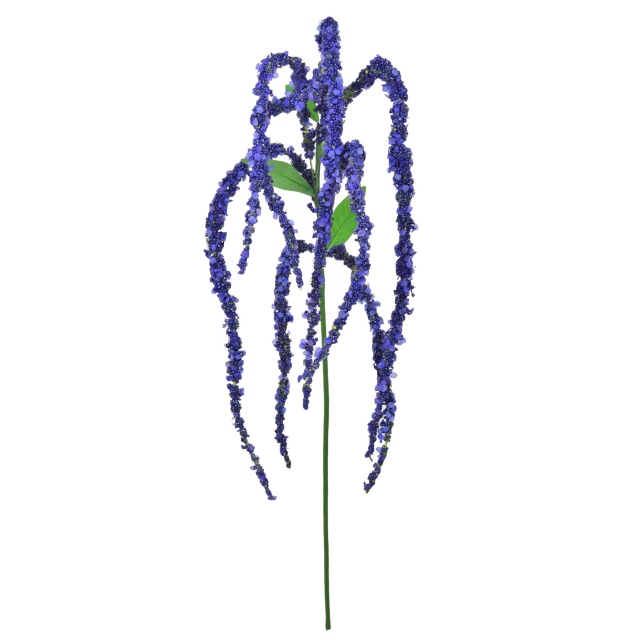 Amaranthus Spray Purple