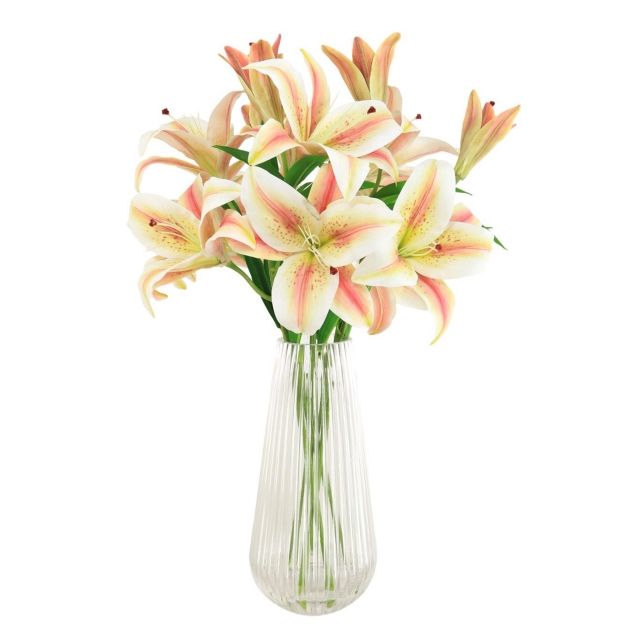 Asiatic Lily In Florentine Vase Arrangement Blush/Cream
