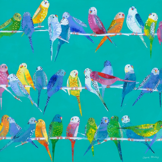 by Claire Henley - Budgie Up