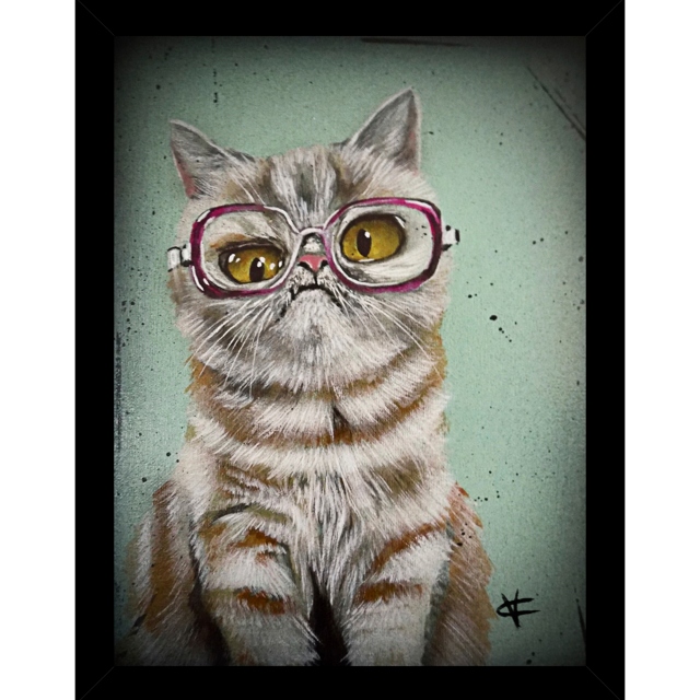 Framed Print by Victoria Coleman - Deirdre Cat