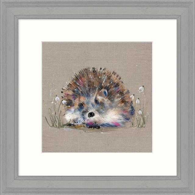 Framed Print by Louise Luton - Hedgehog and Snowdrops