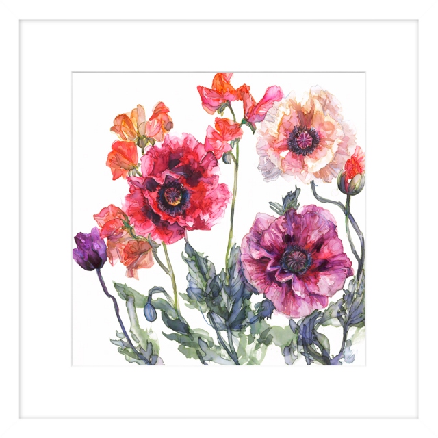 by Jessica Trotman - Opium Poppie and Sweet Peas