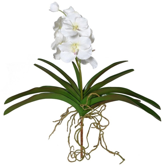 Faux Vanda Orchid Plant With Roots
