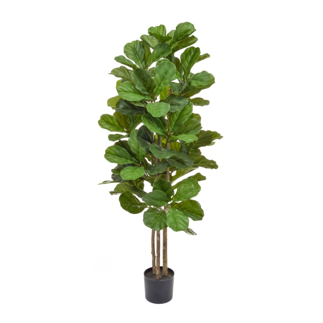 Potted Tree - Fiddle