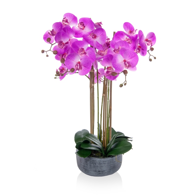 Pink Real Touch - Phal
