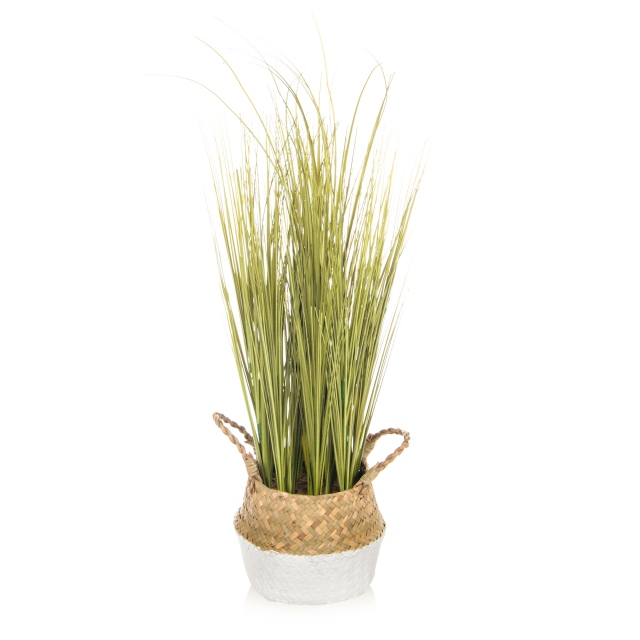 Reed Grass in Straw Pot