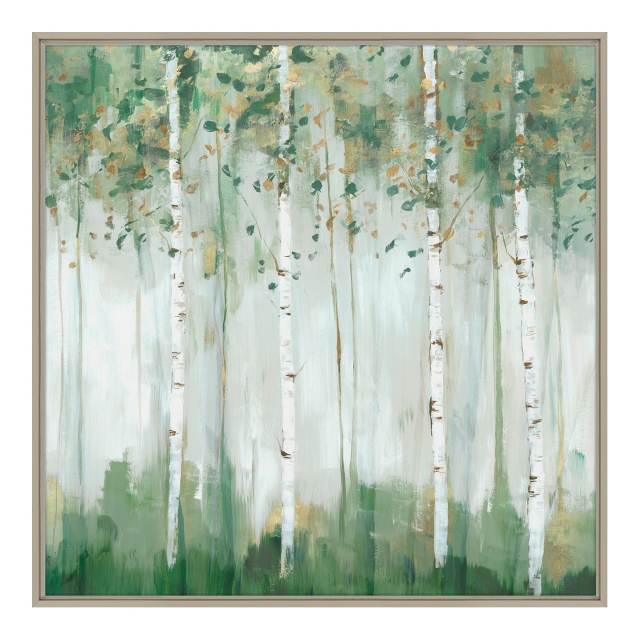 Framed Canvas - Green Birch