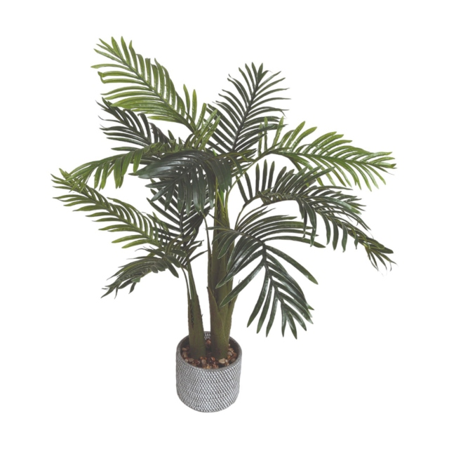 Potted Plant - Palm Tree