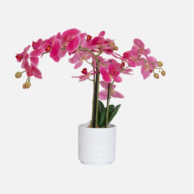 Pink in Ceramic Pot - Orchid 2 Stem Arrangement