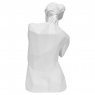 White Sculpture - Torso